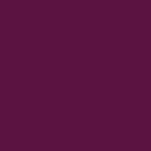 Fall 2024 Fashion Color Trends: Deep Plum