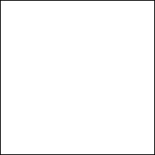 White Color Combinations