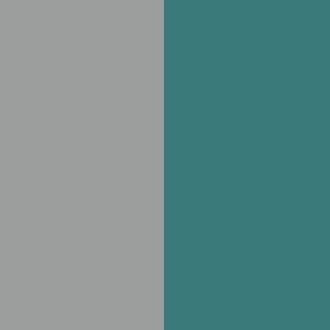 50 Shades of Gray and the Best Gray Color Combinations