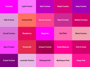 What to Wear with Fuchsia: 8 Best Fuchsia Color Combinations