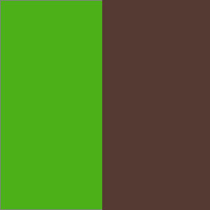 Green Color Combinations:  Green and Brown