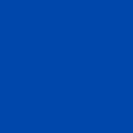 Solid royal blue background used for branding or emphasis in the layout.