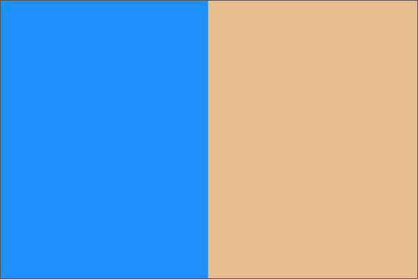 Two vertical color blocks: blue on the left and beige on the right.
