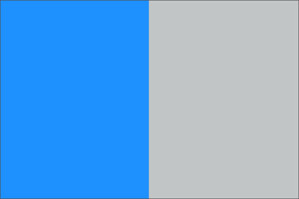 Two-tone vertical split image: blue left half and light gray right half.