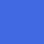 Solid royal blue color block (no text or shapes)
