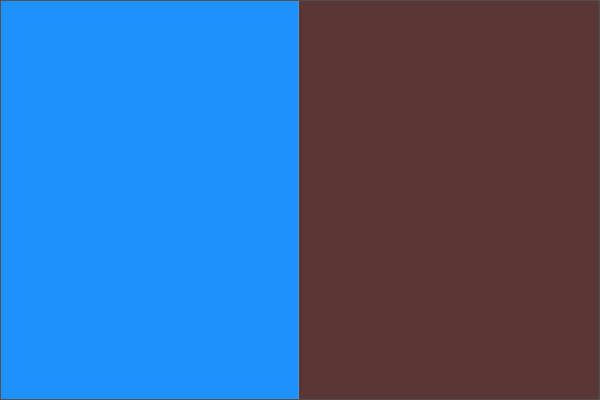 Two vertical color blocks: bright blue on the left and dark brown on the right.