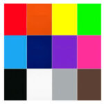 Four-by-four grid of solid color swatches forming a color palette: row 1 red, orange, yellow, lime green; row 2 light blue, dark blue, purple, pink; row 3 black, white, gray, brown.