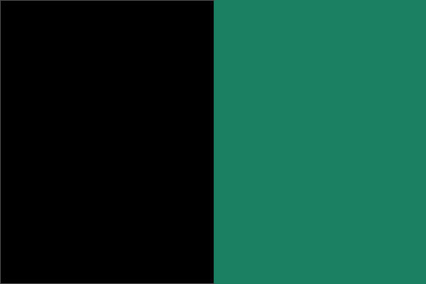Green and Black Color Combination - Style Fix Studio Green and Black Color Combination