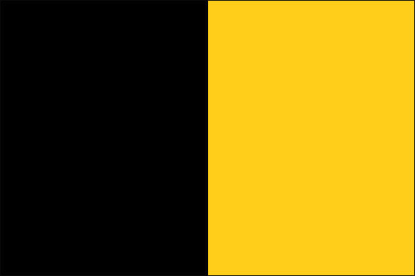 Yellow and Black Color Combination - Style Fix Studio Yellow and Black Color Combination