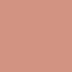 Muted Clay color