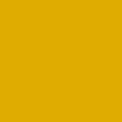 Mustard Yellow Color